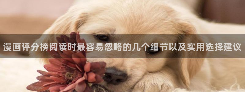 梦漫漫画热门漫画推荐：漫画评分榜阅读时最容易忽略的几个细节以及实用选择建议