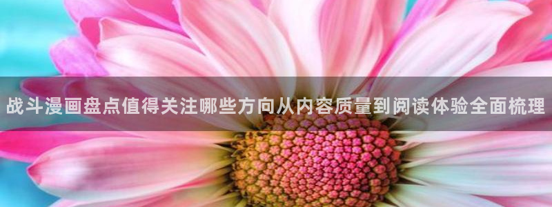梦漫漫画分类导航：战斗漫画盘点值得关注哪些方向从内容质量到阅读体验全面梳理