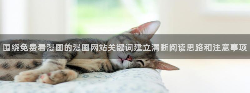 梦漫漫画手机版漫画大全:围绕免费看漫画的漫画网站关键词建立清晰阅读思路和注意事项