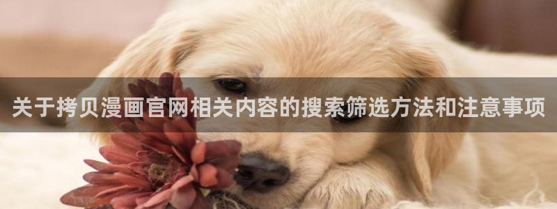 梦漫漫画作品列表:关于拷贝漫画官网相关内容的搜索筛选方法和注意事项