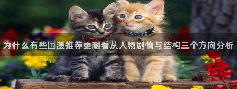 梦漫漫画在线漫画阅读:为什么有些国漫推荐更耐看从人物剧情与结构三个方向分析