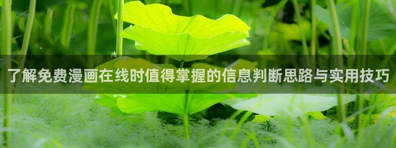 梦漫漫画手机软件推荐:了解免费漫画在线时值得掌握的信息判断思路与实用技巧