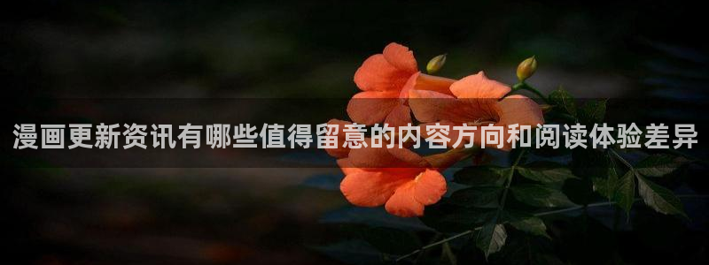 梦漫漫画分类大全：漫画更新资讯有哪些值得留意的内容方向和阅读体验差异